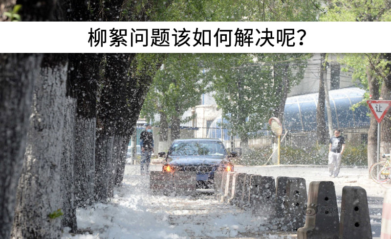 遇到“柳絮”不慌!這樣做，節(jié)能維修費用